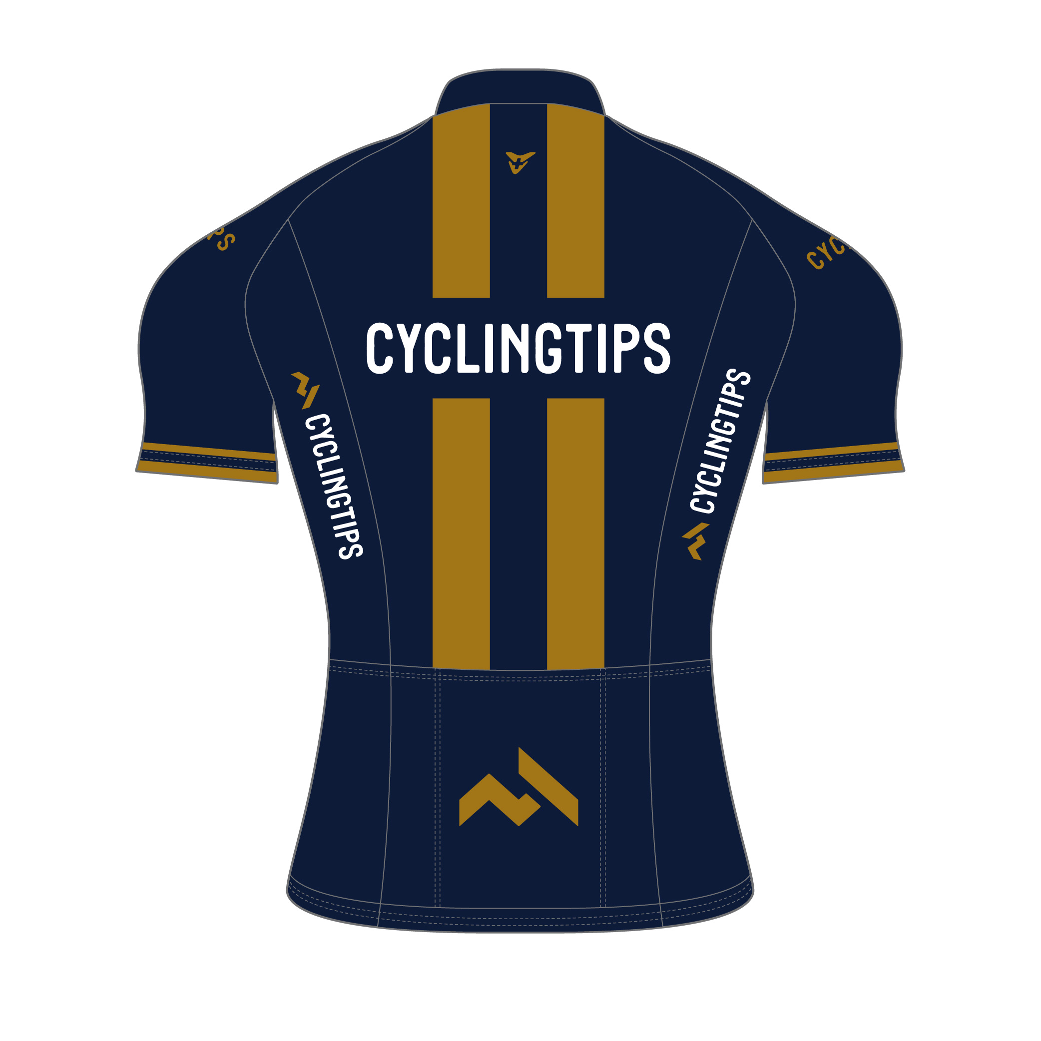 cycling-tips-22-s-51-0010-blue-gold-top-back-2.jpg