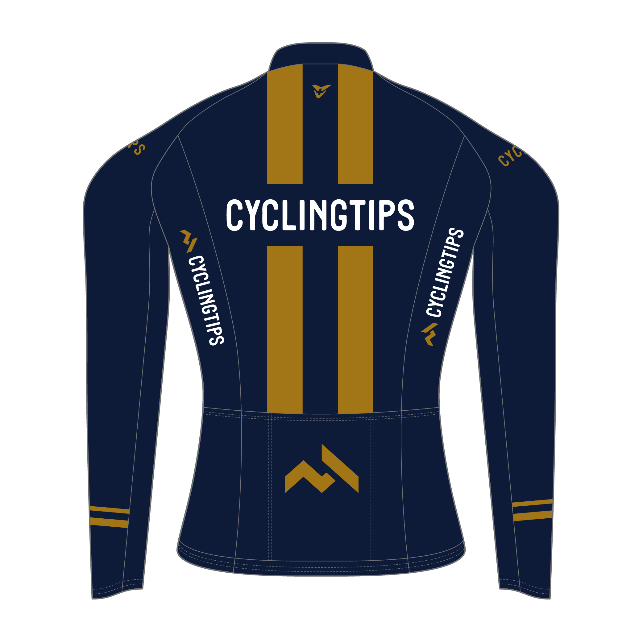 cycling-tips-22-s-52-0009-blue-gold-top-back-2.jpg