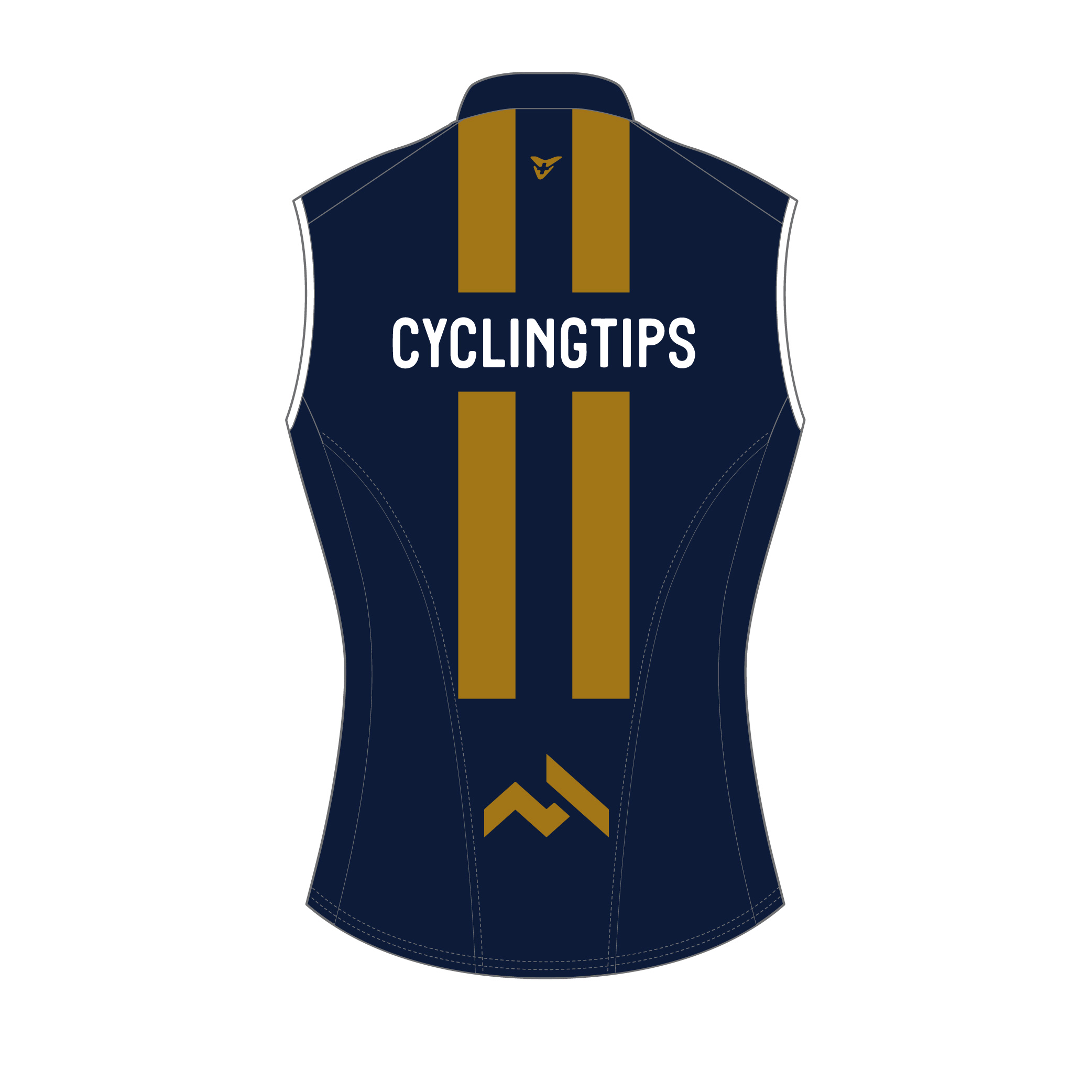 cycling-tips-22-s-53-0614-blue-gold-top-back-3.jpg